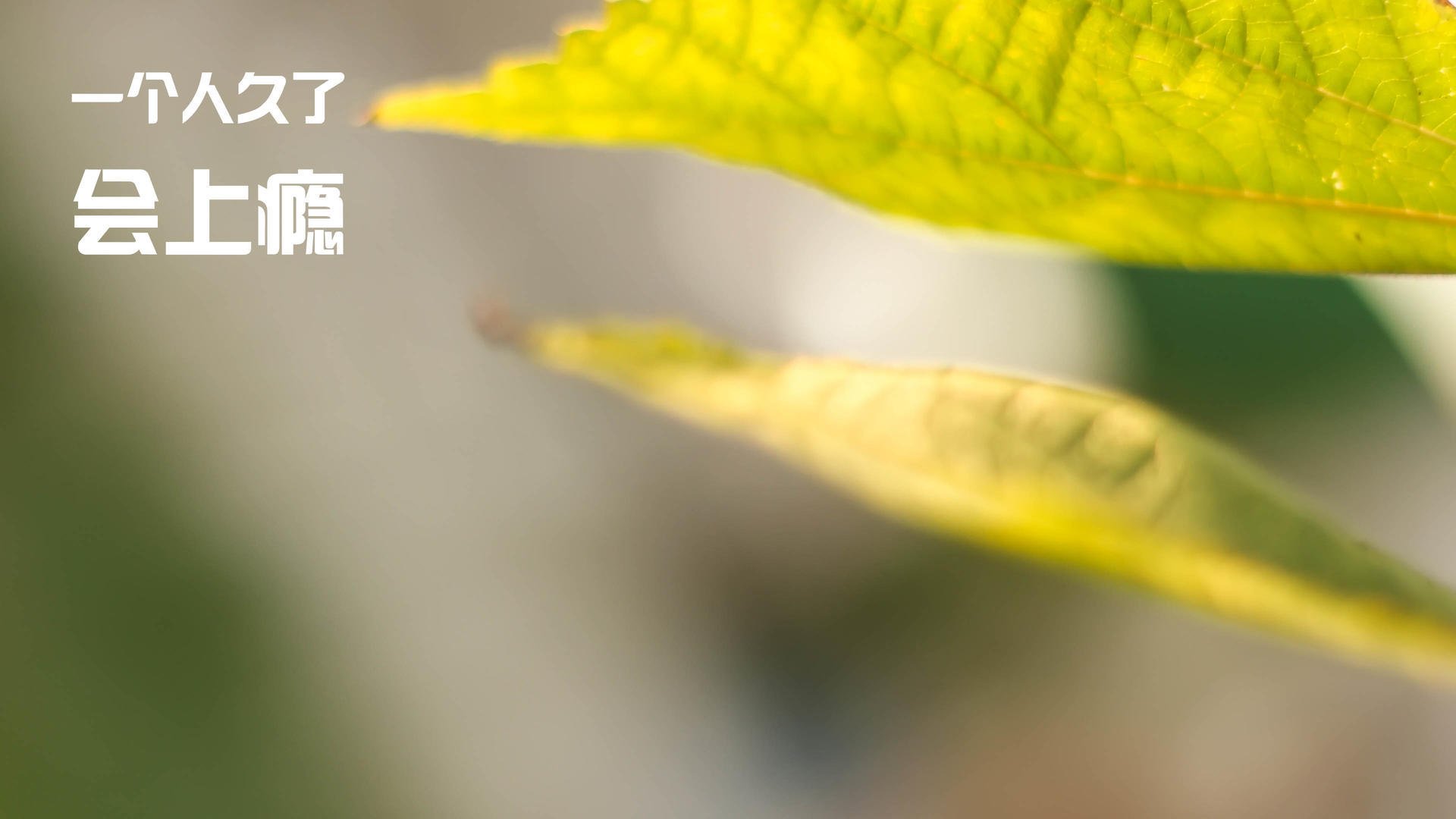 NBA全明星技巧赛:新秀组合技惊四座,nba全明星技巧赛录像