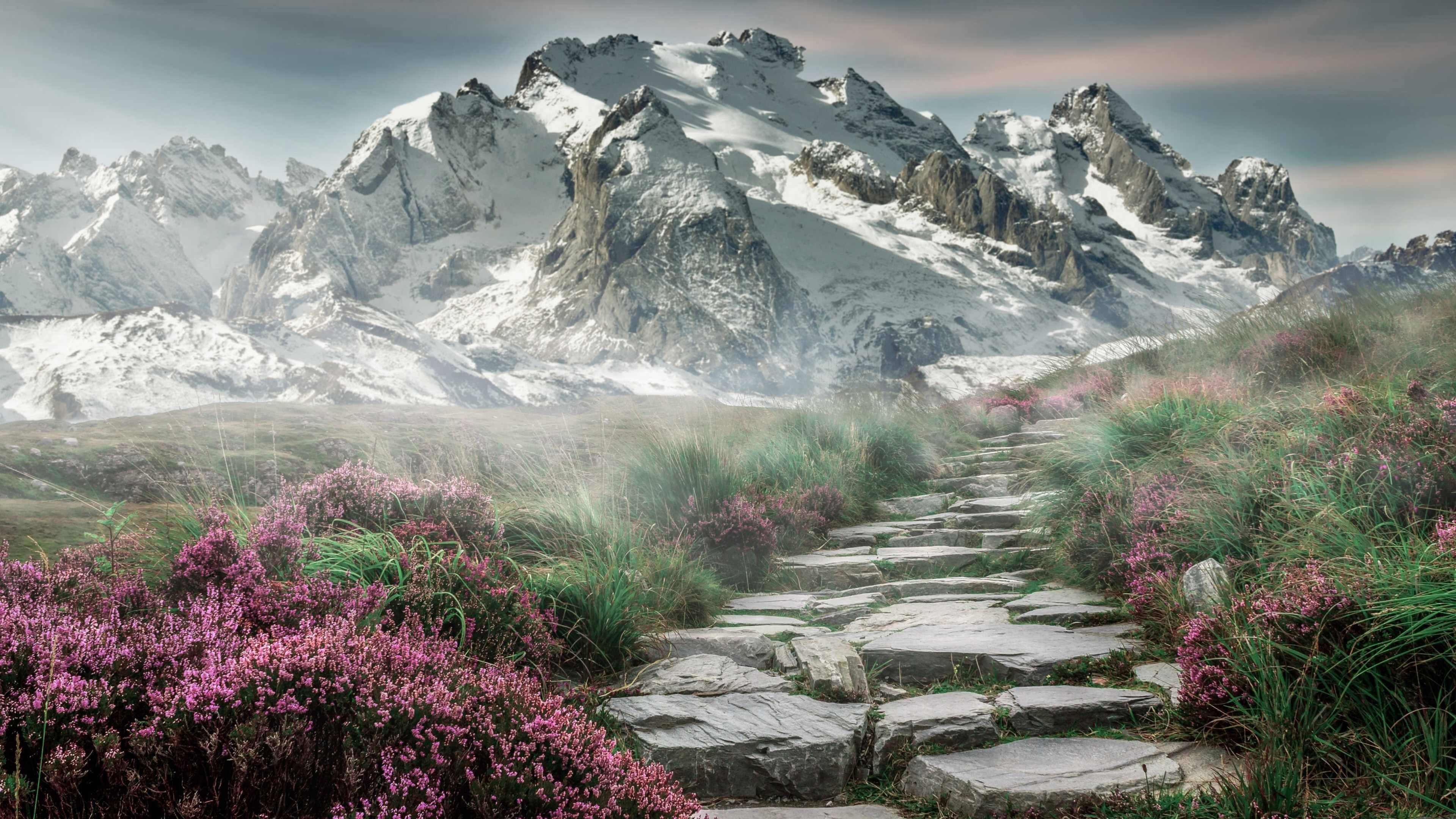 Kaiyun官方登录入口-_火箭队磨合渐入佳境，期待破局_，火箭队火箭队