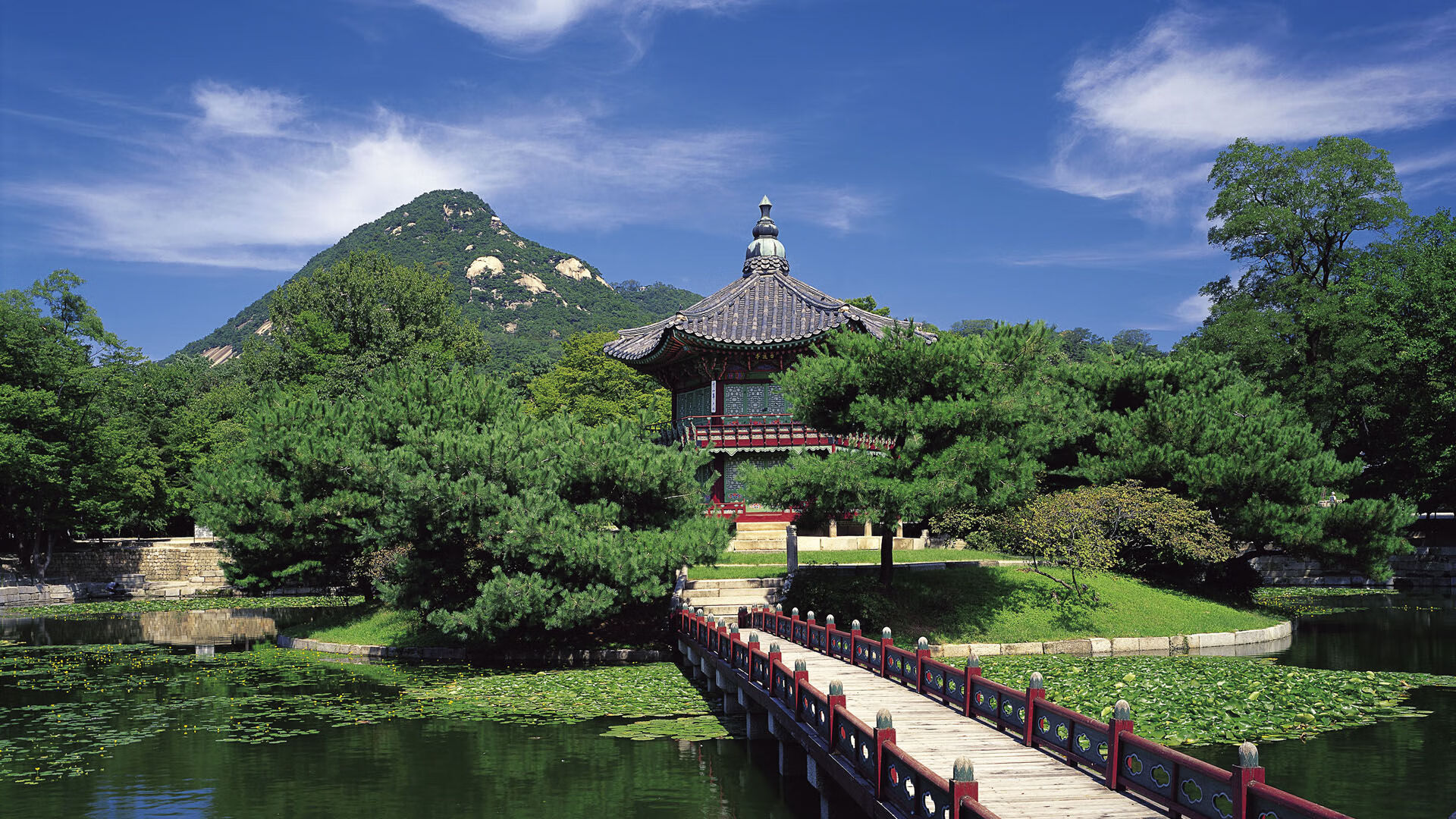 开云官网-_火箭队迎头赶上，争取季后赛门票_，火箭队2022