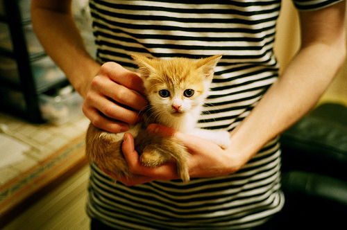 “极速突破”——超越极限的速度竞速经验，极速超越百度百科