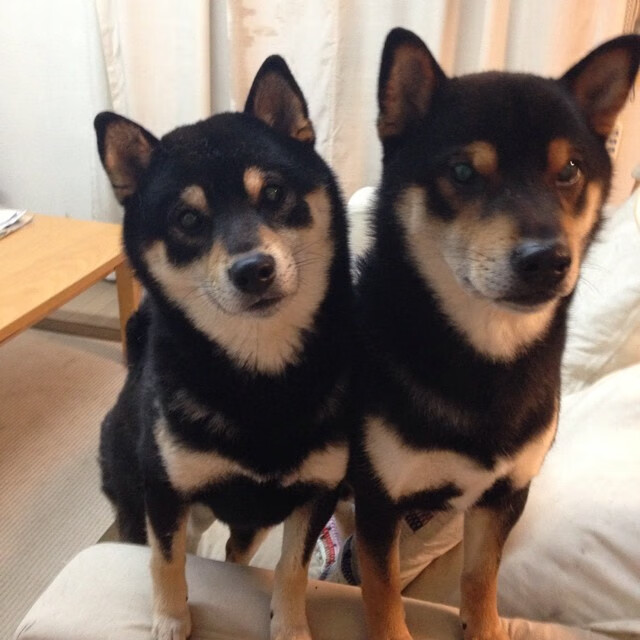 开云体育APP下载-虚拟现实比赛直播：真人与虚拟交相辉映，虚拟现实大赛