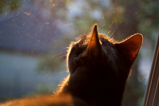 足球文创产业持续升温，打造具有中国特色的体育文化品牌，足球文化logo