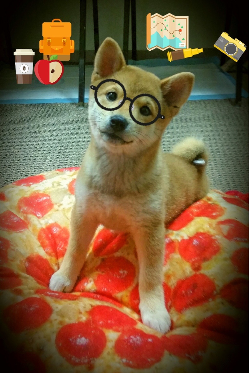 伊普斯维奇城防线稳固，力求保级，伊普斯维奇球衣