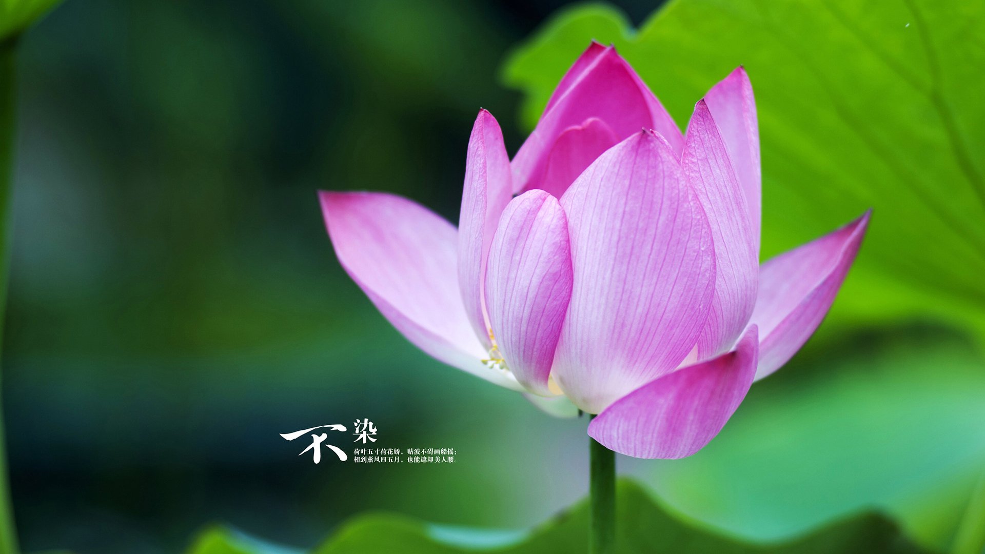 开云中国大陆-毕尔巴鄂竞技客场1-2不敌马洛卡，遗憾落败，毕尔巴鄂竞技主力