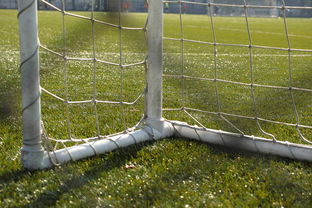 开云全站-中国足球门将扑救区域热图，中国足球门将最差吗