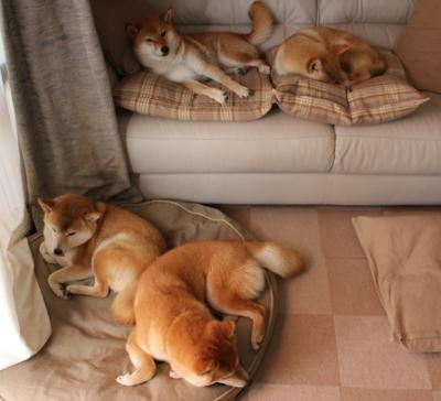 中超球队边锋与边后卫配合成功率趋势,中超右边锋