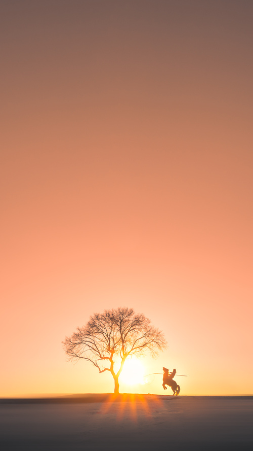 开云在线直播-体育赛事品牌建设方案，体育赛事品牌营销