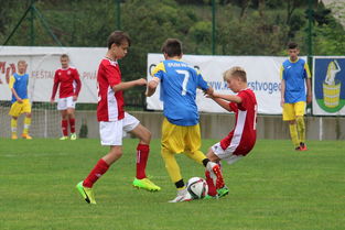 开云官方网页登录-国足比赛期间战术板应用时机整理，足球战术板软件下载