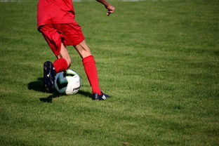 开云体育视频直播-篮球运动员心理素质测评体系构建，篮球运动员心理素质的重要性