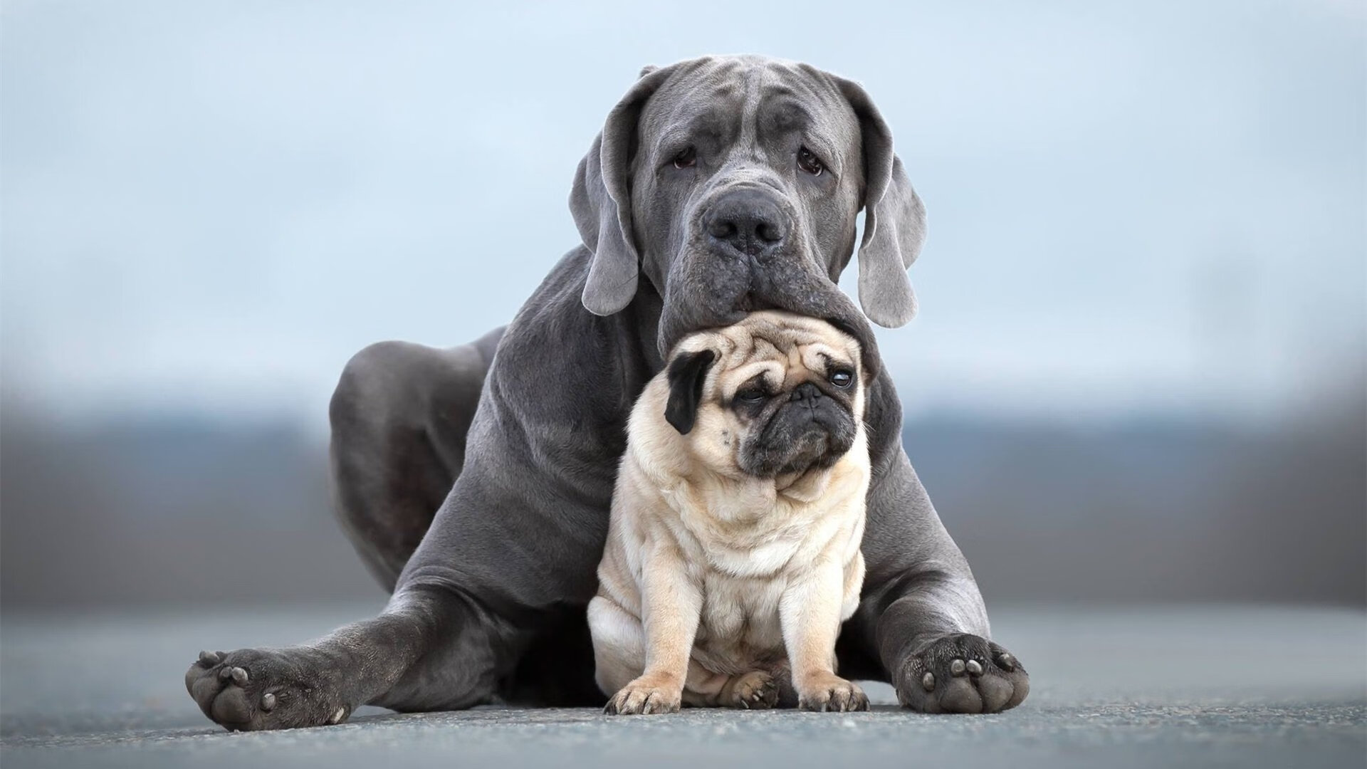 开云体育网页版入口-CBA联赛营销内容为何缺少情绪表达，cba运营