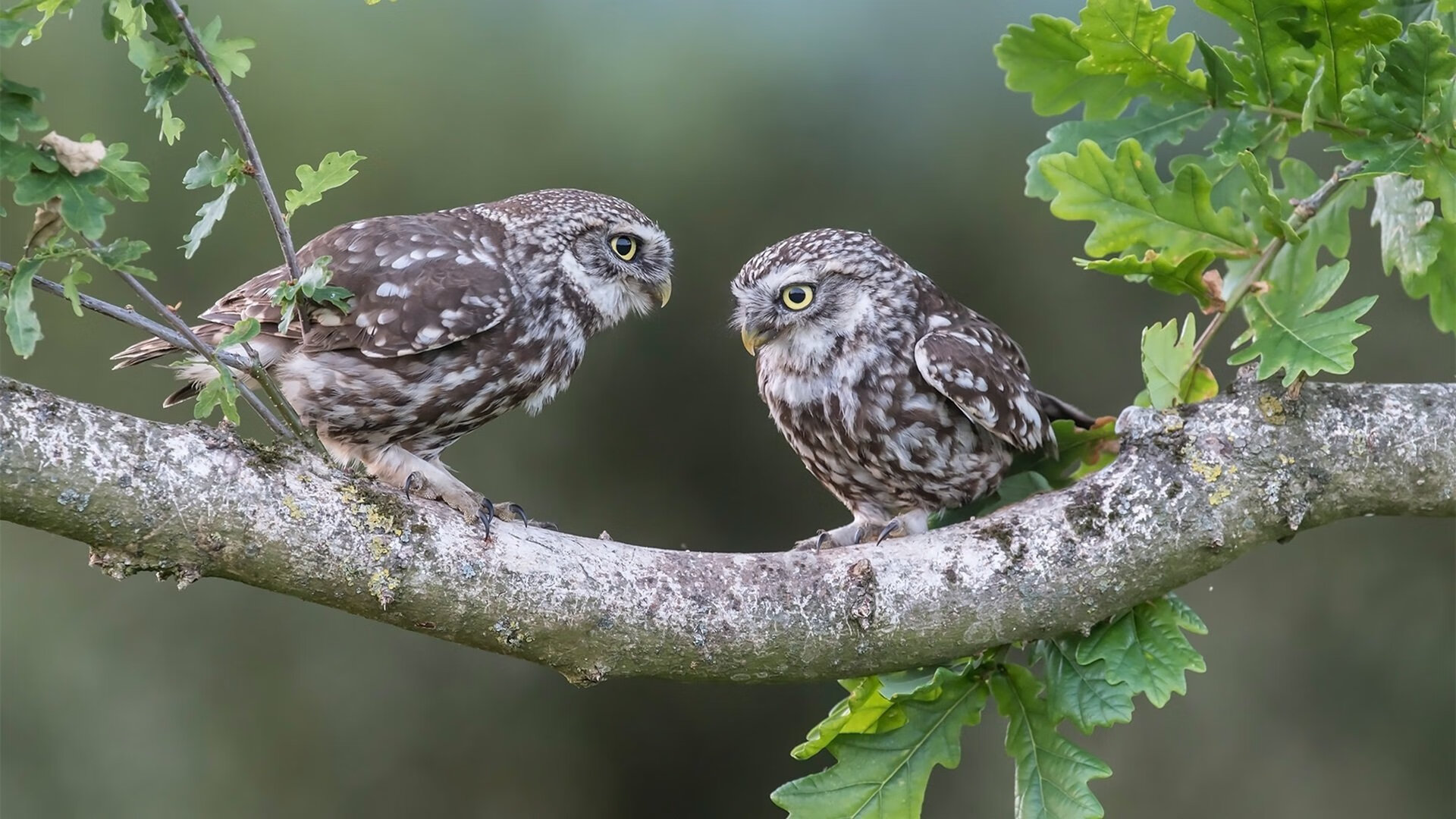 “东安湖体育公园：铁人三项挑战选手全能极限”