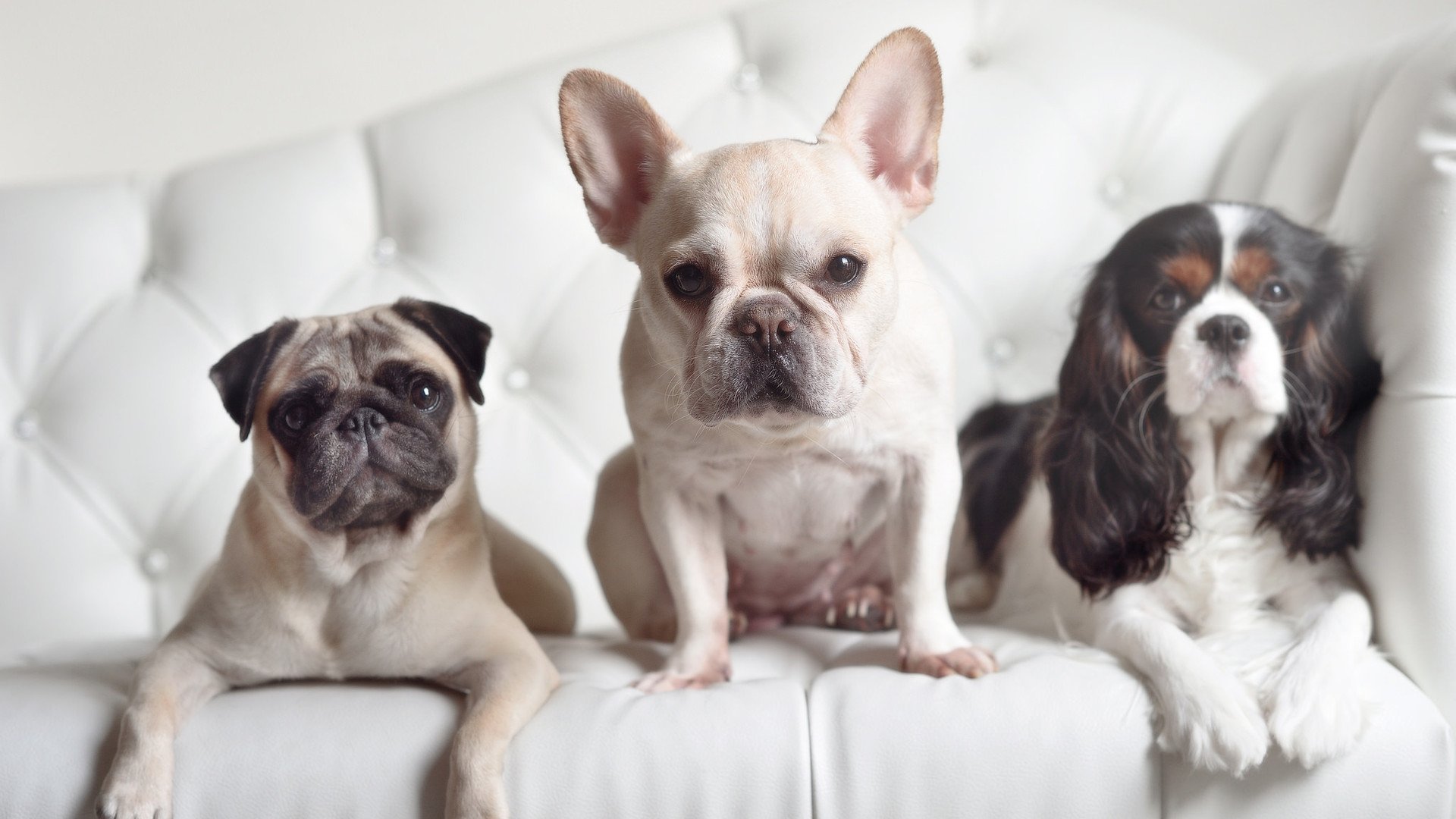 中美澳接力表现分段图表曝光,中美澳联合国际官方网站