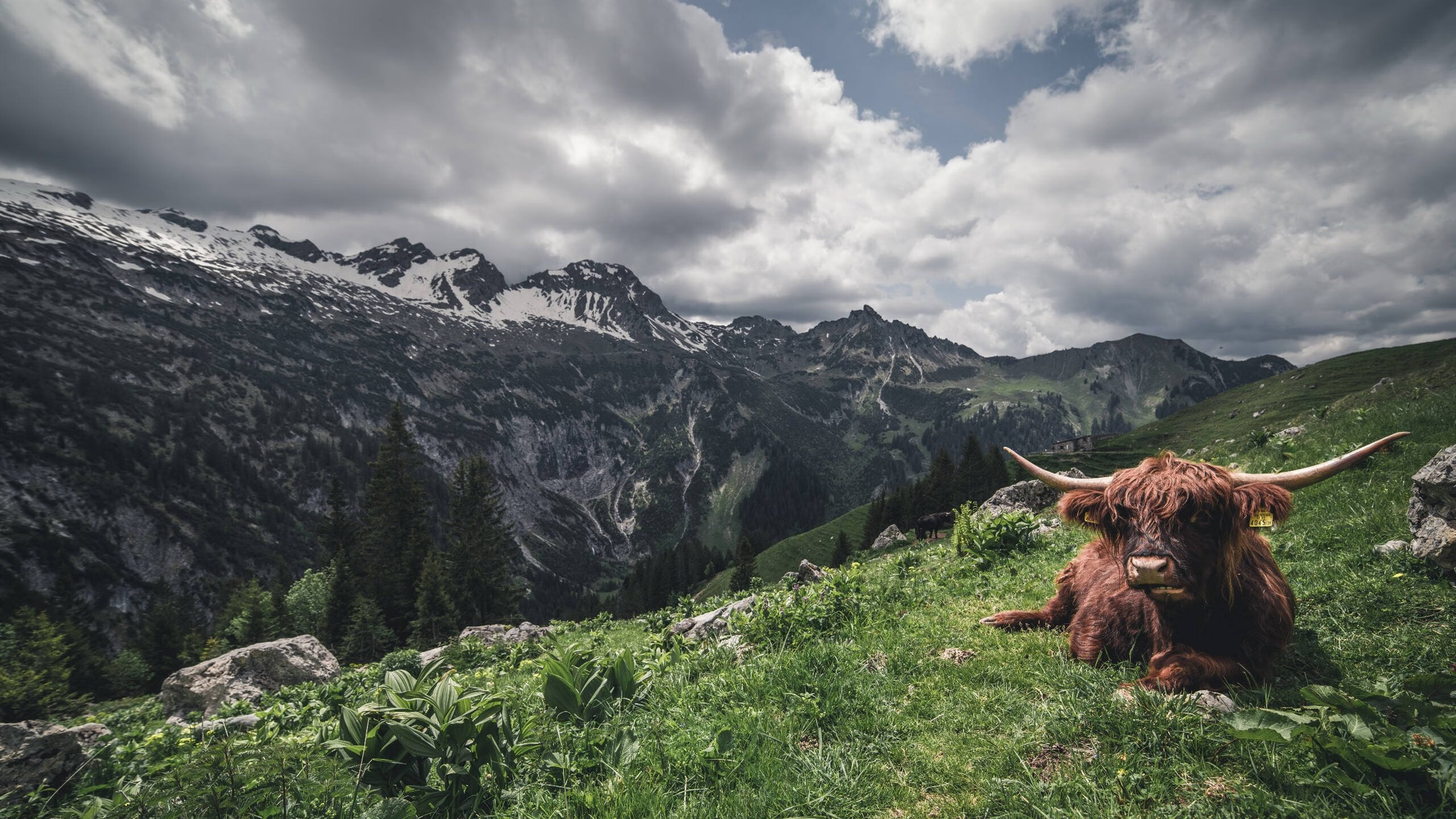 全国青少年田径跳远项目冠军打破十年纪录，全国田径冠军赛2021跳远