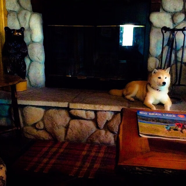 开云体育APP下载-田径接力世锦赛中国女队获得银牌，中国田径女子接力