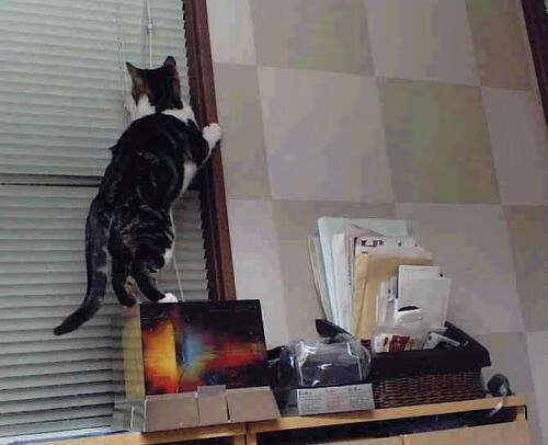 开云官网-高强度对抗下是否应刻意放缓节奏稳定出手，高强度对线什么意思