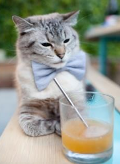 开云·体育官方网站入口-弗朗索瓦·霍尔茨豪伊泽：他用智慧与技术，打破对方防线，助力南非队称霸