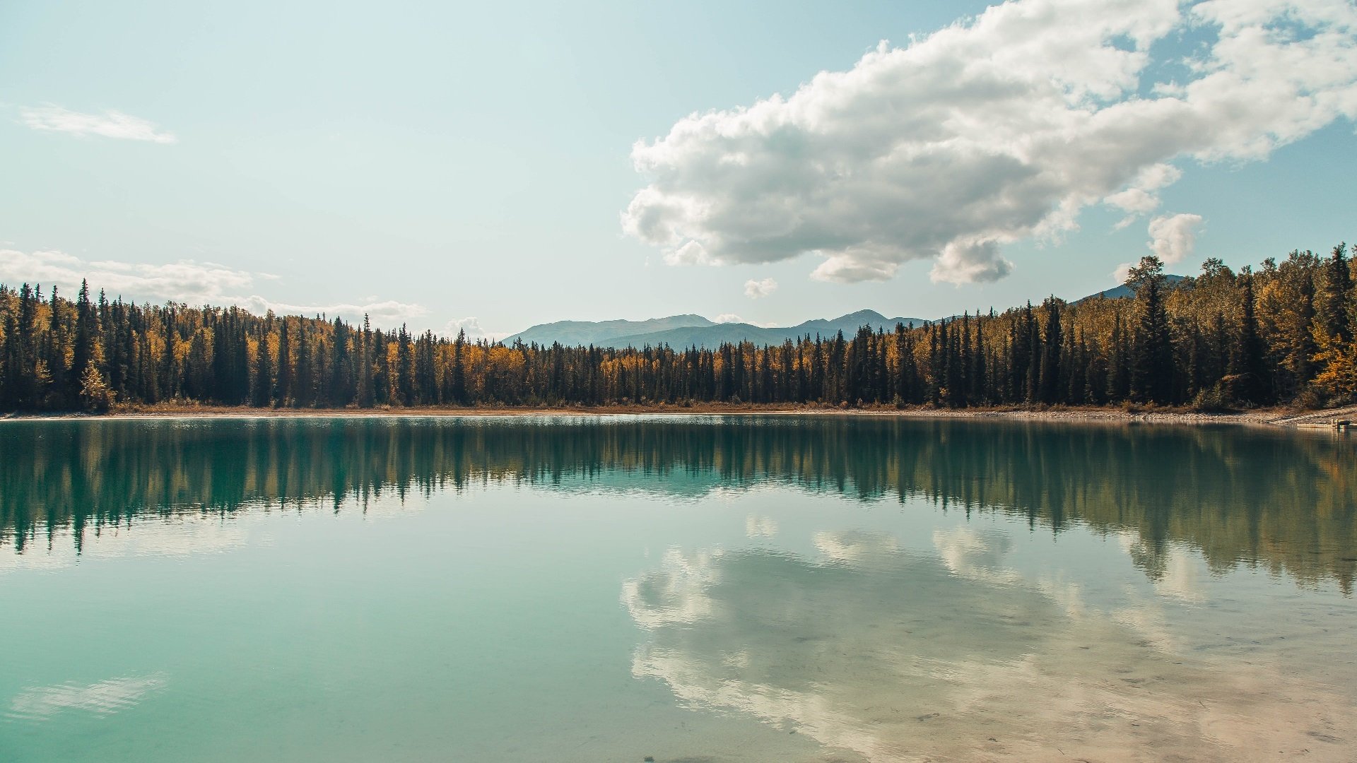 托里·哈斯克决赛发挥超出预期,托拜厄斯·哈里斯顶薪