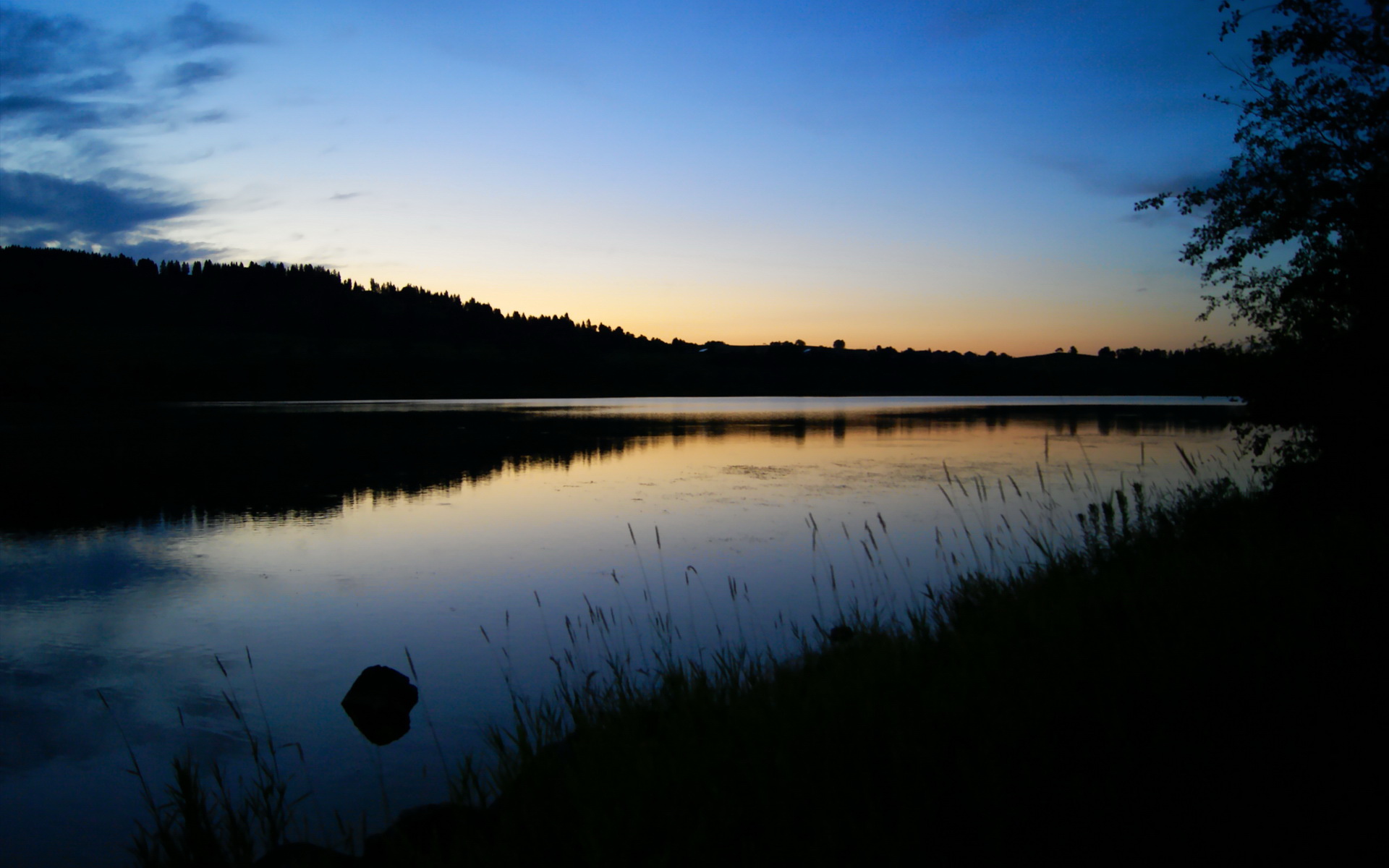kaiyun 开云体育-澳大利亚女子4×200米自由泳接力决赛夺冠，澳大利亚女子游泳接力