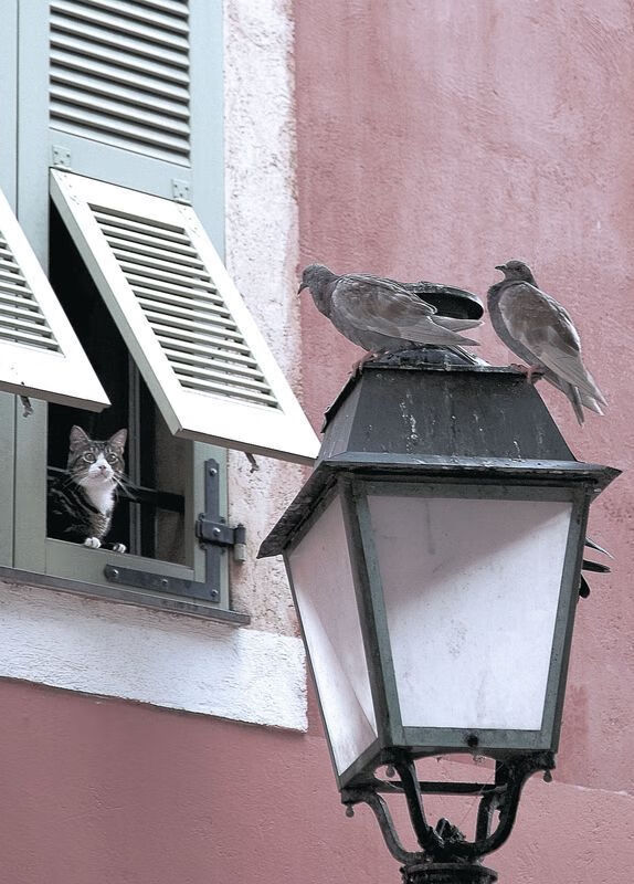 kaiyun体育app-鹈鹕小前锋赛后接受长篇专访谈心路历程，鹈鹕队小前锋